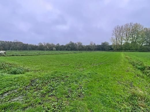 Derde alternatieve foto van het pand