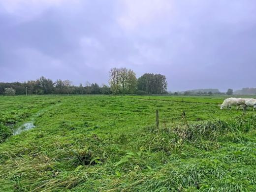 Eerste alternatieve foto van het pand