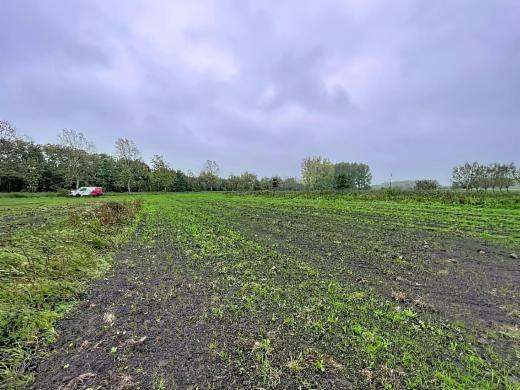 Derde alternatieve foto van het pand