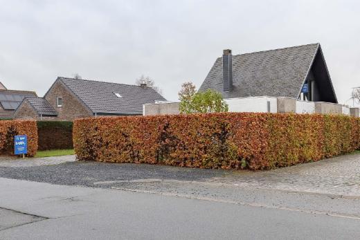 Derde alternatieve foto van het pand