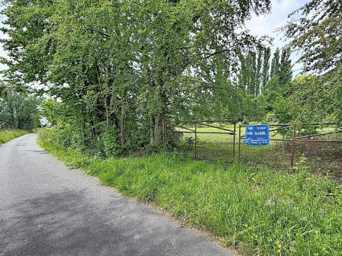 Presentatiebeeld van het pand n° 296642