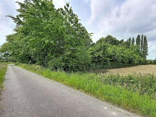 Derde alternatieve foto van het pand