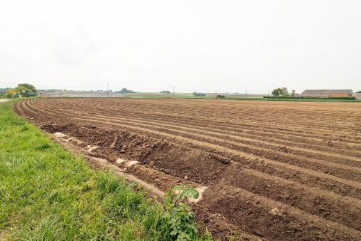 Derde alternatieve foto van het pand