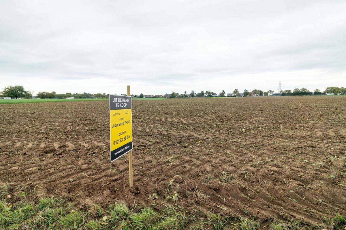 Presentatiebeeld van het pand n° 303373