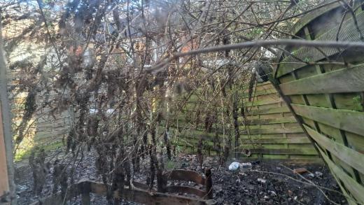 Derde alternatieve foto van het pand