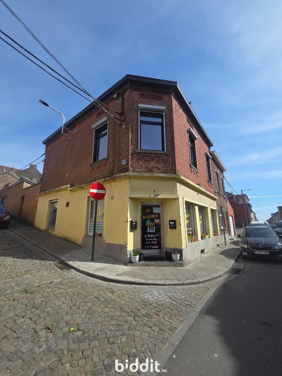 Presentatiebeeld van het pand n° 295876