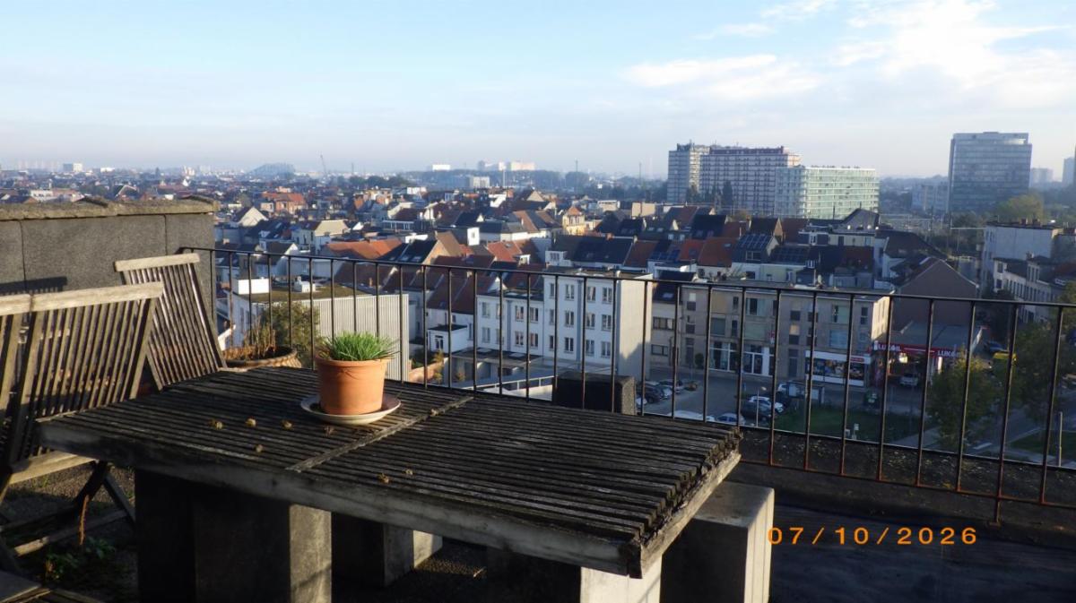 Presentatiebeeld van het pand n° 302924