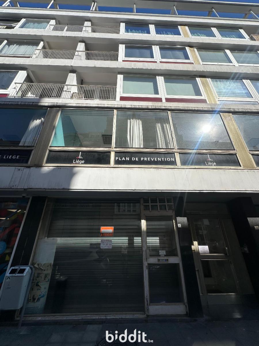 Presentatiebeeld van het pand n° 299734