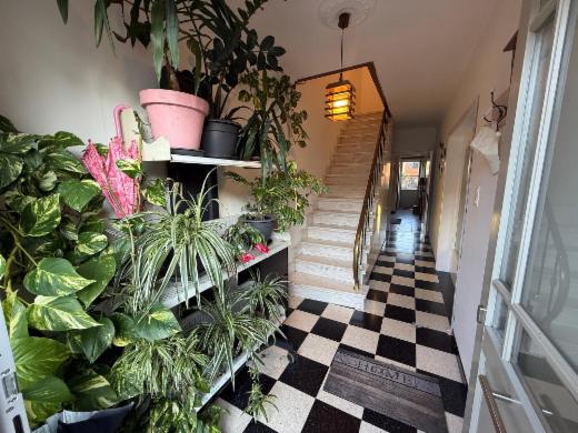 Eerste alternatieve foto van het pand