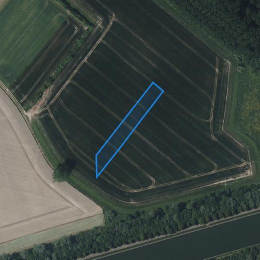 Eerste alternatieve foto van het pand