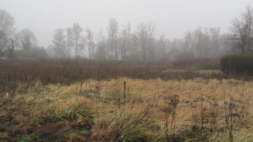 Eerste alternatieve foto van het pand