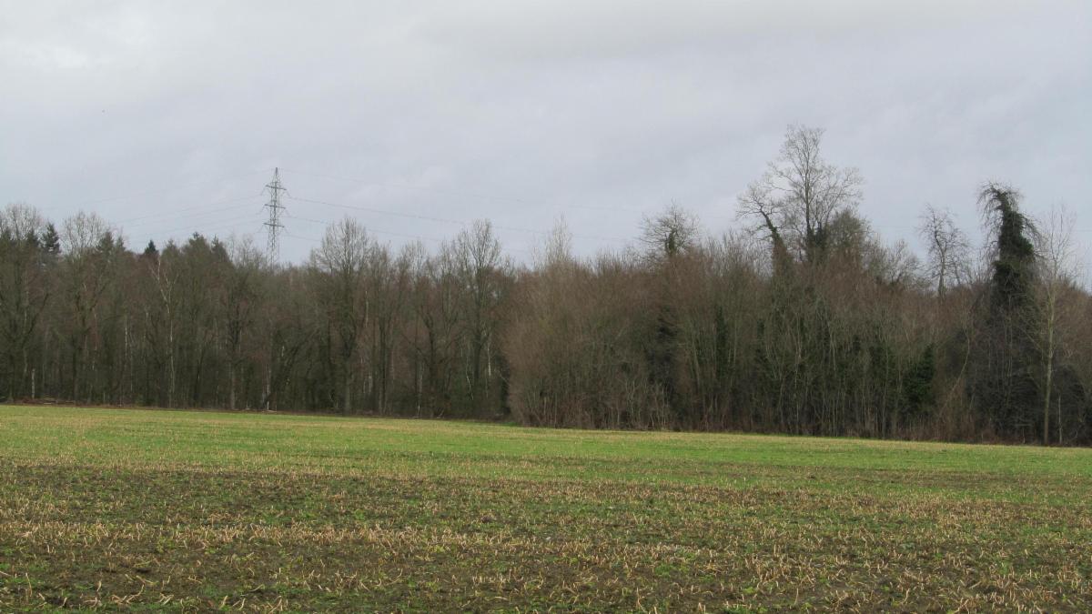 Presentatiebeeld van het pand n° 293938