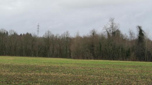 Presentatiebeeld van het pand n° 293938