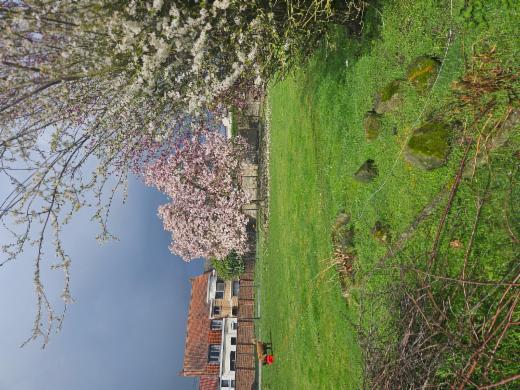 Presentatiebeeld van het pand n° 294967