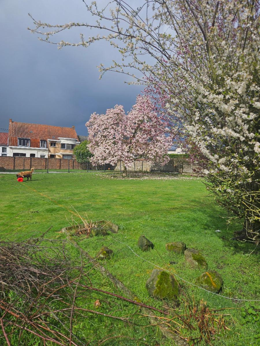 Presentatiebeeld van het pand n° 294967