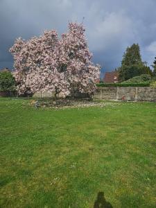 Tweede alternatieve foto van het pand