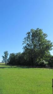 Derde alternatieve foto van het pand