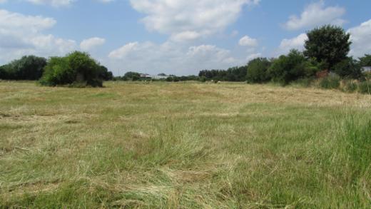 Eerste alternatieve foto van het pand