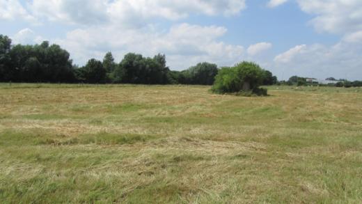 Tweede alternatieve foto van het pand