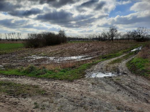 Presentatiebeeld van het pand n° 285106
