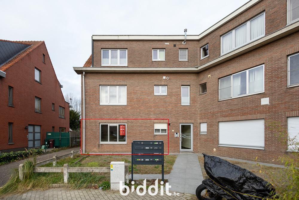 Presentatiebeeld van het pand n° 293046