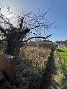 Derde alternatieve foto van het pand