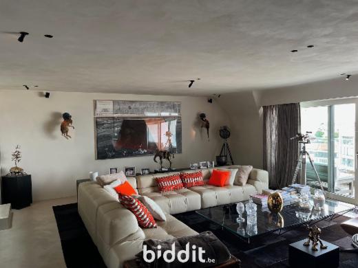 Presentatiebeeld van het pand n° 292113