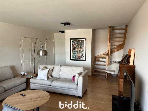 Presentatiebeeld van het pand n° 292114