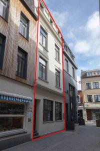 Presentatiebeeld van het pand n° 295004