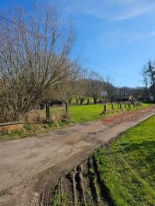 Tweede alternatieve foto van het pand