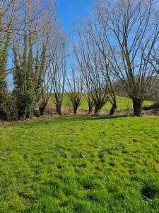 Derde alternatieve foto van het pand