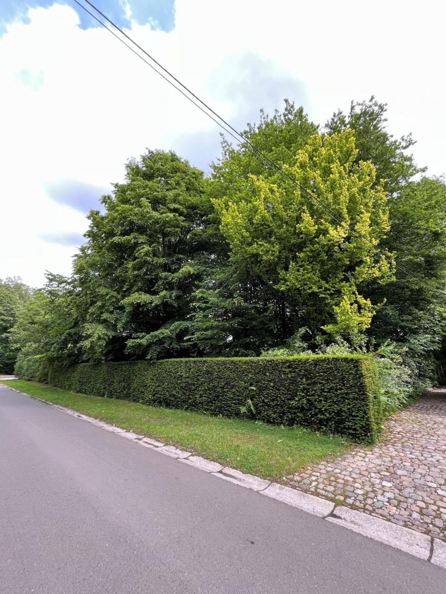 Presentatiebeeld van het pand n° 297419