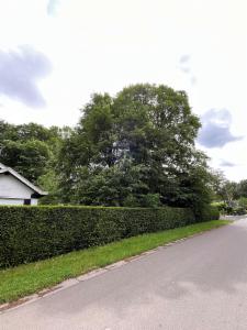 Eerste alternatieve foto van het pand