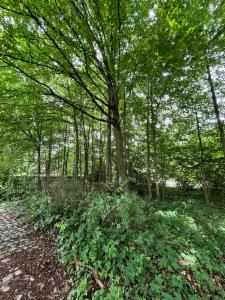 Tweede alternatieve foto van het pand