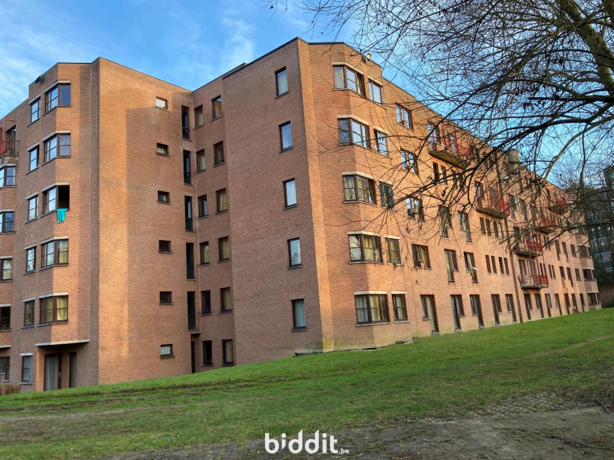 Presentatiebeeld van het pand n° 294442