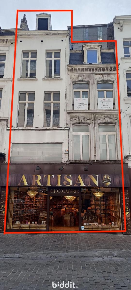 Presentatiebeeld van het pand n° 295866