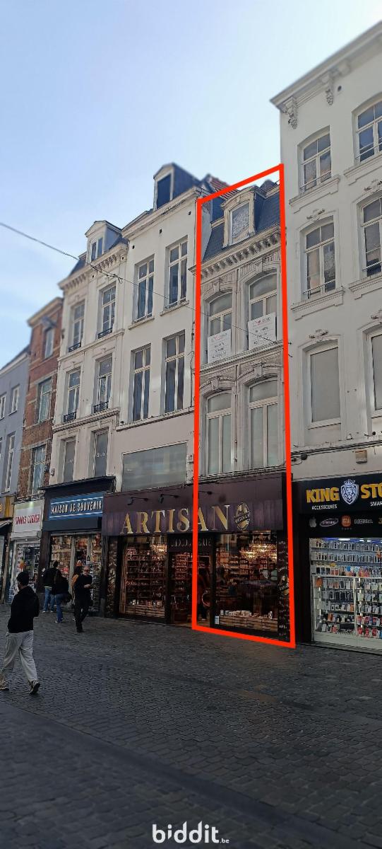 Presentatiebeeld van het pand n° 295866