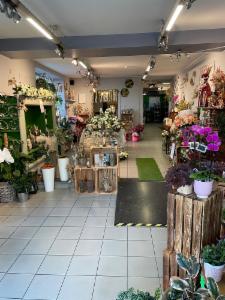 Derde alternatieve foto van het pand