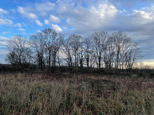 Presentatiebeeld van het pand n° 292643