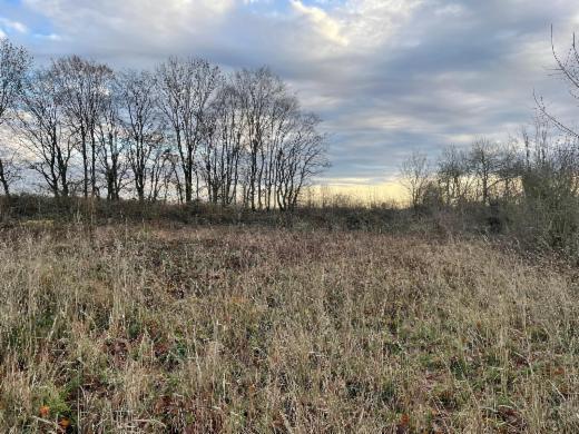 Eerste alternatieve foto van het pand