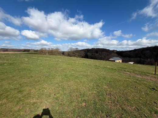 Tweede alternatieve foto van het pand