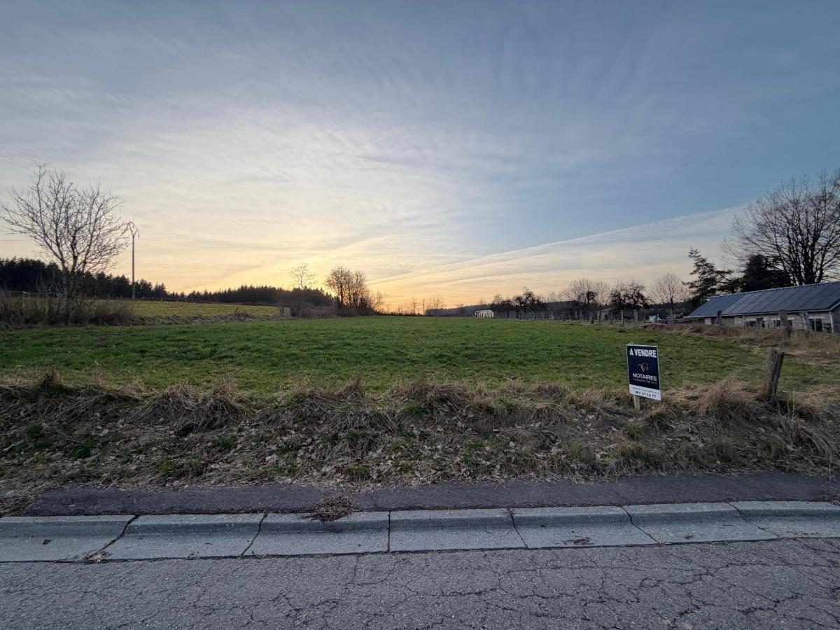 Presentatiebeeld van het pand n° 295673