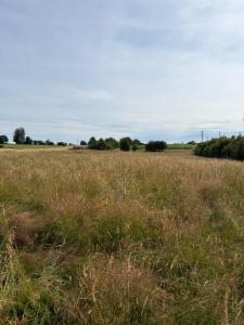 Tweede alternatieve foto van het pand