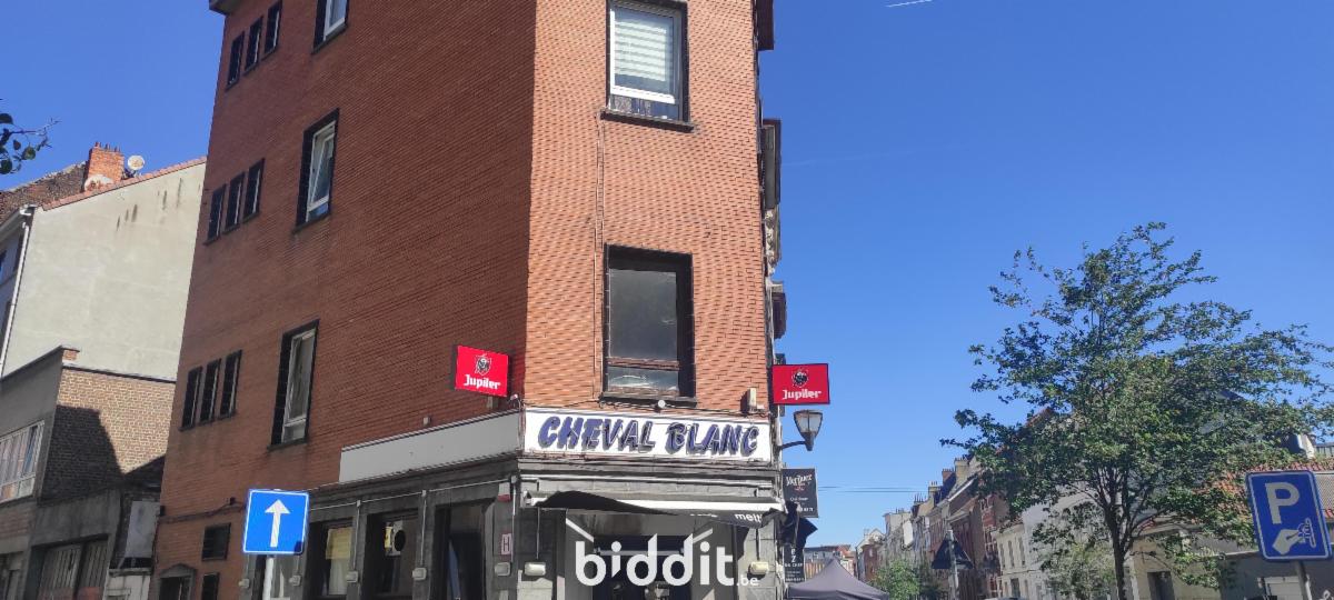 Presentatiebeeld van het pand n° 298396