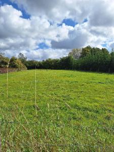 Eerste alternatieve foto van het pand