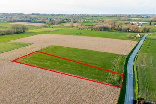 Tweede alternatieve foto van het pand