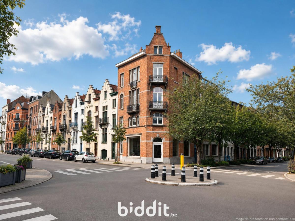 Presentatiebeeld van het pand n° 296162