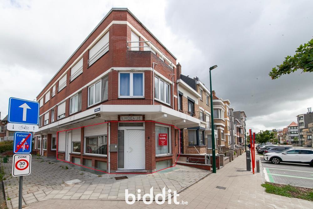 Presentatiebeeld van het pand n° 298478
