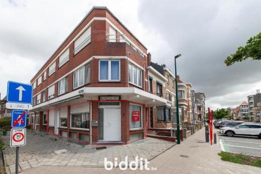 Presentatiebeeld van het pand n° 298478