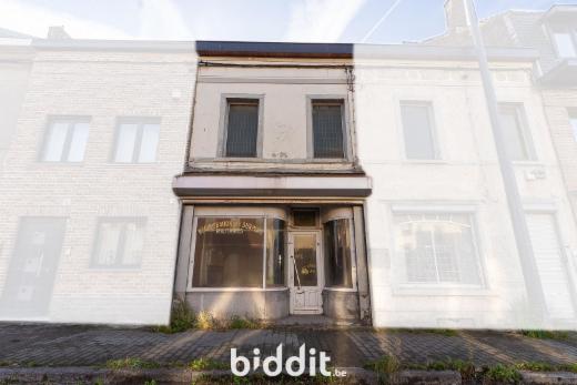 Presentatiebeeld van het pand n° 295294